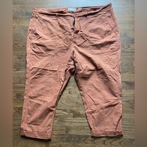 Anthropologie plus pants